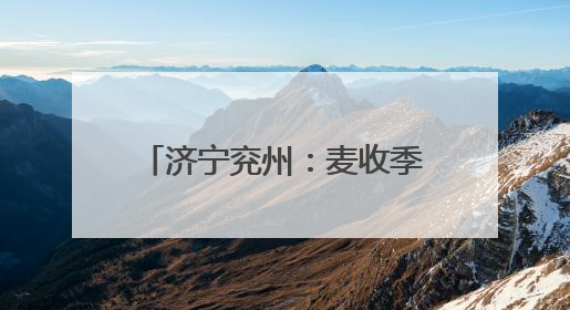 济宁兖州：麦收季上演“科技秀场”