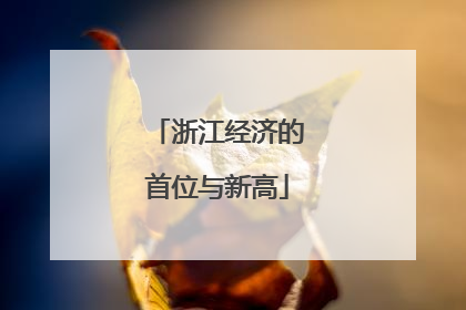 浙江经济的首位与新高