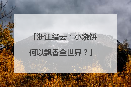 浙江缙云：小烧饼何以飘香全世界？