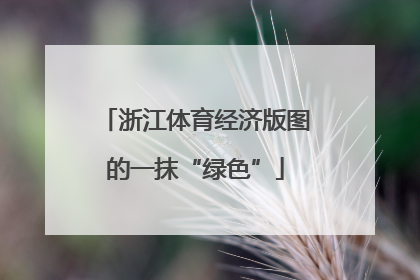 浙江体育经济版图的一抹“绿色”