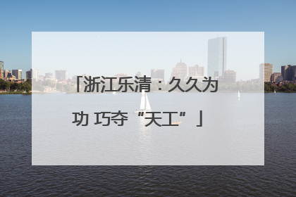 浙江乐清：久久为功 巧夺“天工”