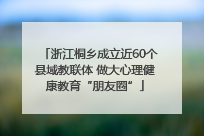 浙江桐乡成立近60个县域教联体 做大心理健康教育“朋友圈”
