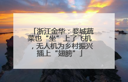 浙江金华：婺城蔬菜也“坐”上了飞机，无人机为乡村振兴插上“翅膀”