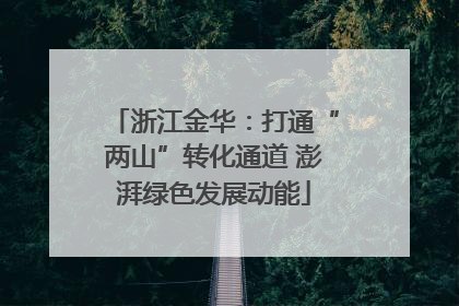 浙江金华：打通“两山”转化通道 澎湃绿色发展动能