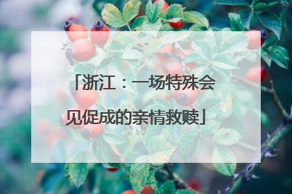 浙江：一场特殊会见促成的亲情救赎