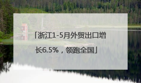 浙江1-5月外贸出口增长6.5%，领跑全国