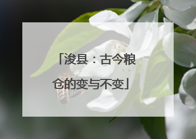浚县：古今粮仓的变与不变