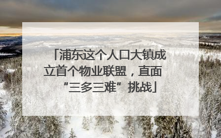 浦东这个人口大镇成立首个物业联盟，直面“三多三难”挑战