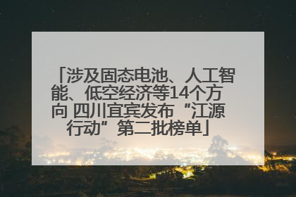 涉及固态电池、人工智能、低空经济等14个方向 四川宜宾发布“江源行动”第二批榜单