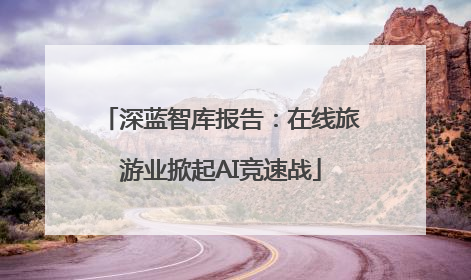 深蓝智库报告：在线旅游业掀起AI竞速战