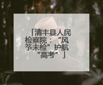 清丰县人民检察院：“风筝未检”护航“高考”