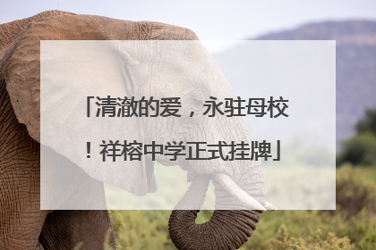 清澈的爱，永驻母校！祥榕中学正式挂牌