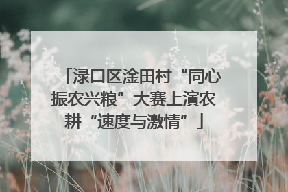 渌口区淦田村“同心振农兴粮”大赛上演农耕“速度与激情”
