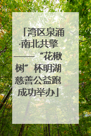 湾区泉涌·南北共擎——“花楸树”杯明湖慈善公益跑成功举办