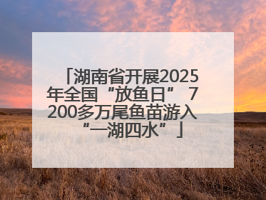 湖南省开展2025年全国“放鱼日” 7200多万尾鱼苗游入“一湖四水”