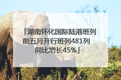 湖南怀化国际陆港班列前五月开行班列481列 同比增长45%