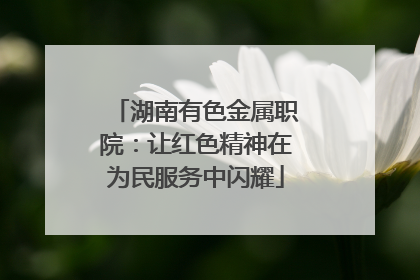 湖南有色金属职院：让红色精神在为民服务中闪耀