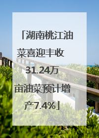 湖南桃江油菜喜迎丰收 31.24万亩油菜预计增产7.4%