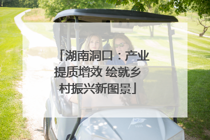湖南洞口：产业提质增效 绘就乡村振兴新图景