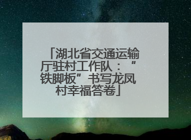 湖北省交通运输厅驻村工作队：“铁脚板”书写龙凤村幸福答卷