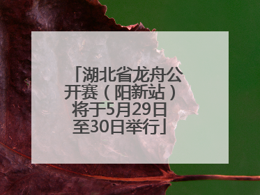 湖北省龙舟公开赛（阳新站）将于5月29日至30日举行