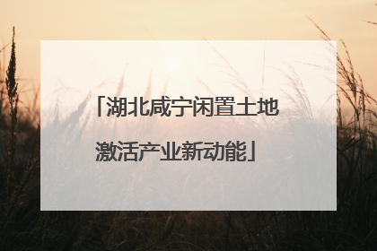 湖北咸宁闲置土地激活产业新动能