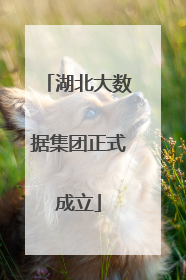 湖北大数据集团正式成立