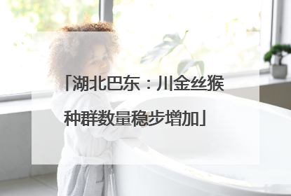 湖北巴东：川金丝猴种群数量稳步增加