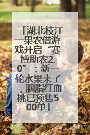 湖北枝江一果农借游戏开启“赛博助农2.0”：新一轮水果来了，胭脂红血桃已预售500单