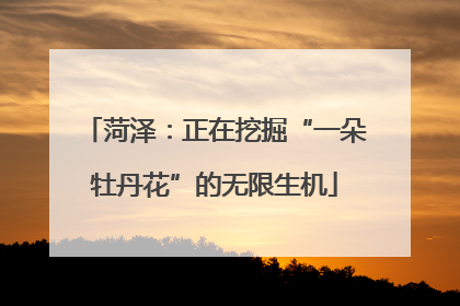 菏泽：正在挖掘“一朵牡丹花”的无限生机
