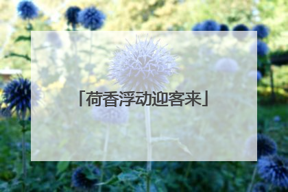 荷香浮动迎客来