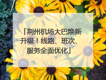 荆州机场大巴焕新升级！线路、班次、服务全面优化