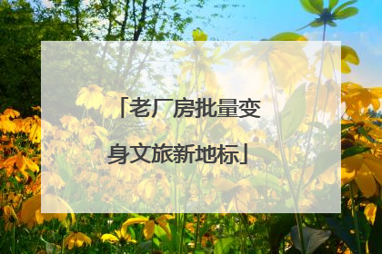老厂房批量变身文旅新地标