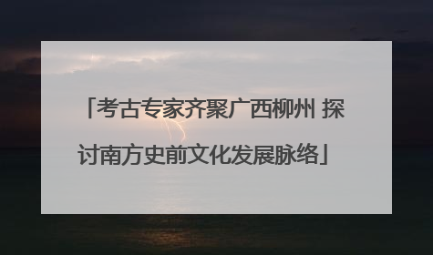 考古专家齐聚广西柳州 探讨南方史前文化发展脉络