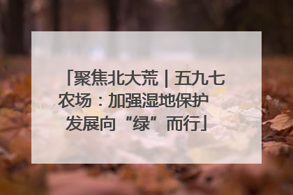 聚焦北大荒｜五九七农场：加强湿地保护 发展向“绿”而行