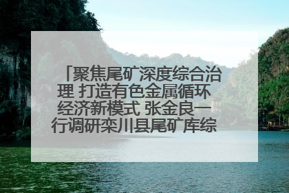 聚焦尾矿深度综合治理 打造有色金属循环经济新模式 张金良一行调研栾川县尾矿库综合治理工作