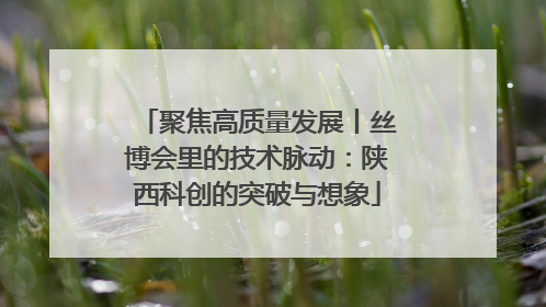 聚焦高质量发展丨丝博会里的技术脉动：陕西科创的突破与想象
