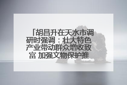 胡昌升在天水市调研时强调：壮大特色产业带动群众增收致富 加强文物保护推动文化创新发展