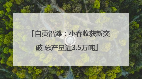 自贡沿滩：小春收获新突破 总产量近3.5万吨