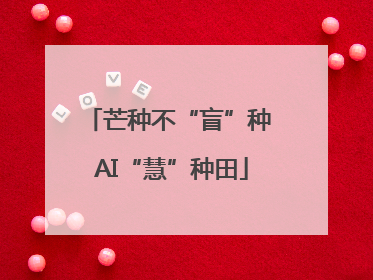 芒种不“盲”种 AI“慧”种田