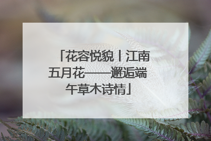 花容悦貌丨江南五月花——邂逅端午草木诗情