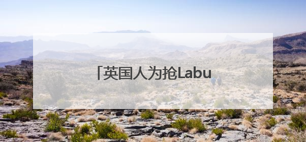 英国人为抢Labubu大打出手！泡泡玛特：暂停在英销售