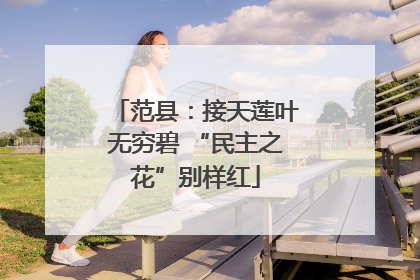 范县：接天莲叶无穷碧 “民主之花”别样红
