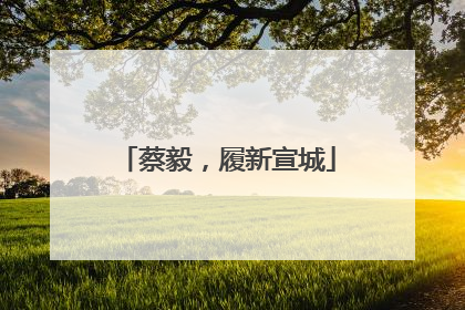 蔡毅，履新宣城