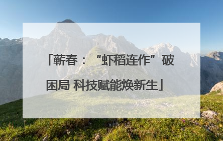 蕲春：“虾稻连作”破困局 科技赋能焕新生