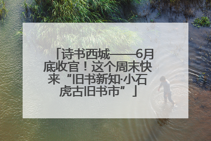 诗书西城——6月底收官！这个周末快来“旧书新知·小石虎古旧书市”