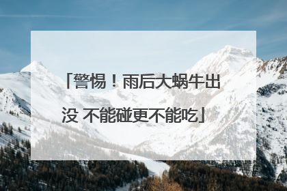 警惕！雨后大蜗牛出没 不能碰更不能吃