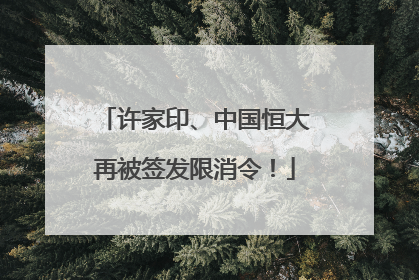 许家印、中国恒大再被签发限消令！