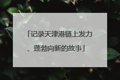 记录天津港链上发力、蓬勃向新的故事