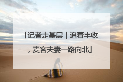 记者走基层｜追着丰收，麦客夫妻一路向北